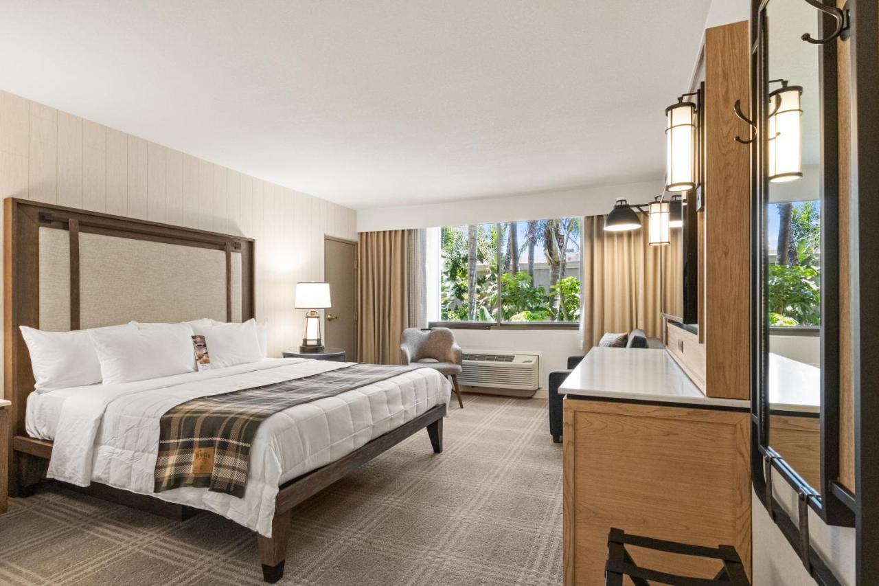 King Room Accessible,1352416322:JPEG